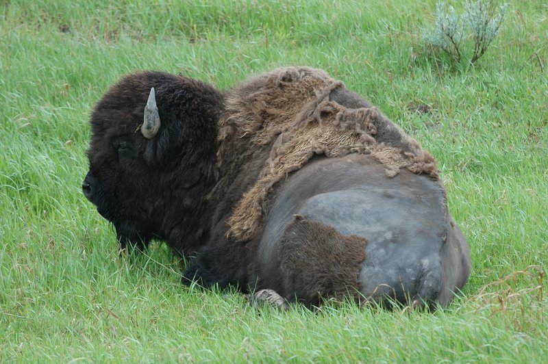 DSC_0584.jpg