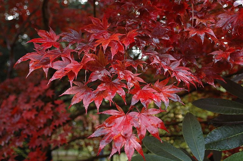 DSC_0631.jpg