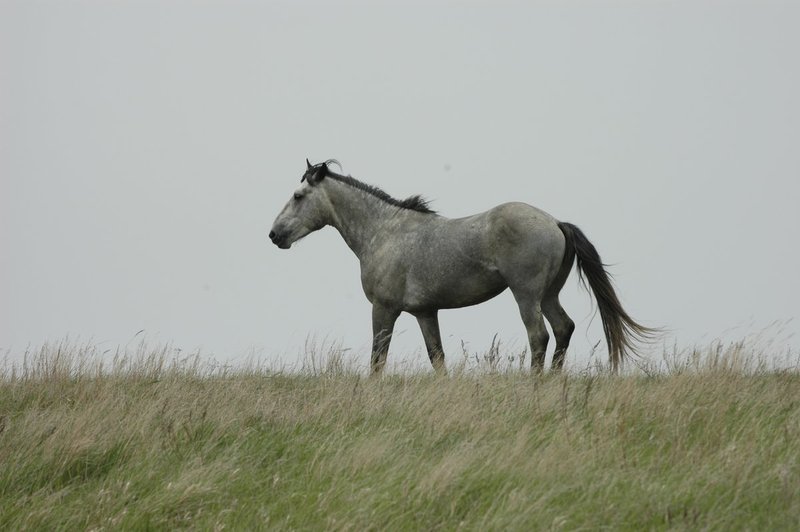 DSC_0636.jpg