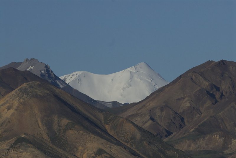 Peaking Out.jpg :: Mt. Mickinley as seen from Denali N.P.