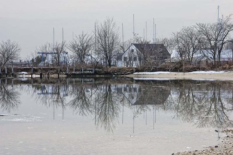 Reflections.jpg