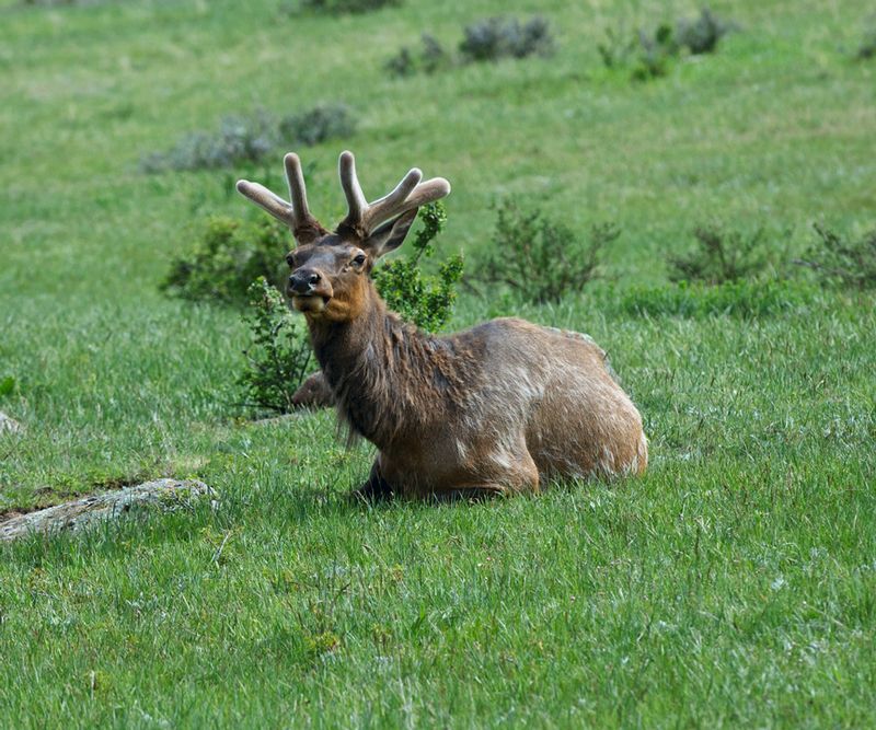 Lazy Day DSC_0548.jpg