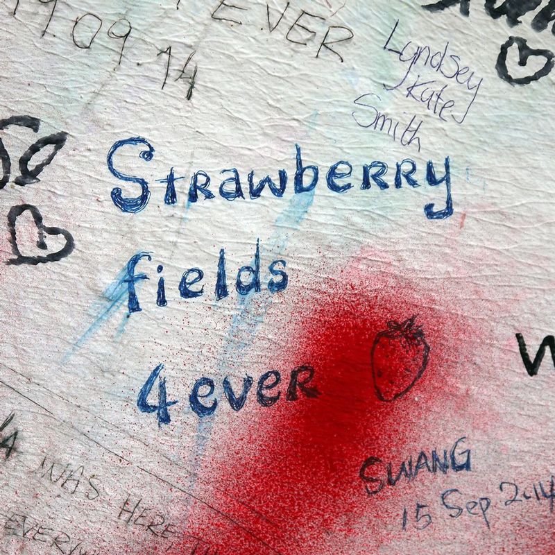 4 Ever - K2014-019.jpg