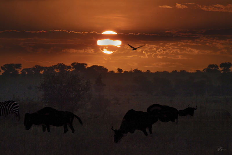 Final redo_Serengeti Sunrise W Final Sig.jpg