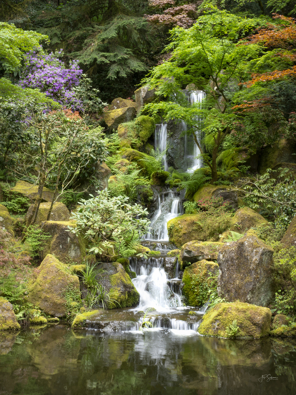Oregon Japanese W Final Signature (1 of 1).jpg :: OLYMPUS DIGITAL CAMERA