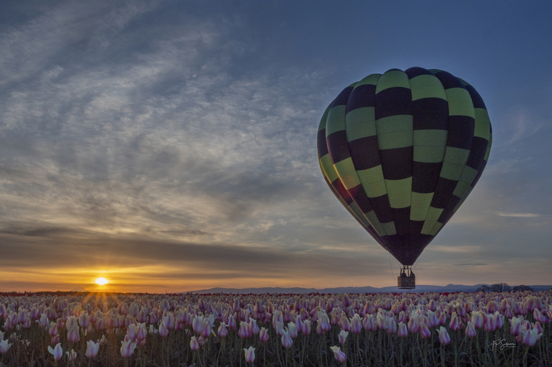 Tulip Hot Air Balloon Sunrise W Final Sig(1).jpg :: OLYMPUS DIGITAL CAMERA