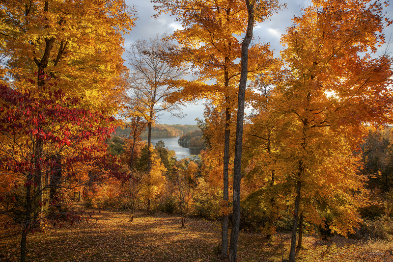 WEB_Autumn on Cedar Lake W Final New Sig (1 of 1) copy(1).jpg