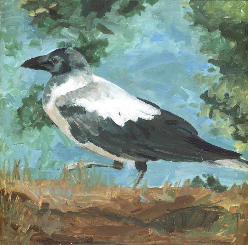 This old crow(1).jpg