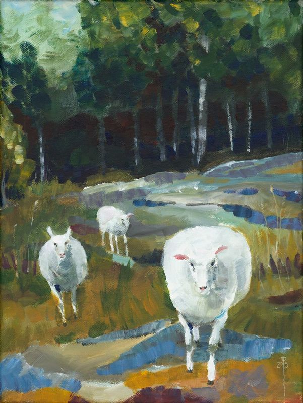 Charge of the Sheep.jpg