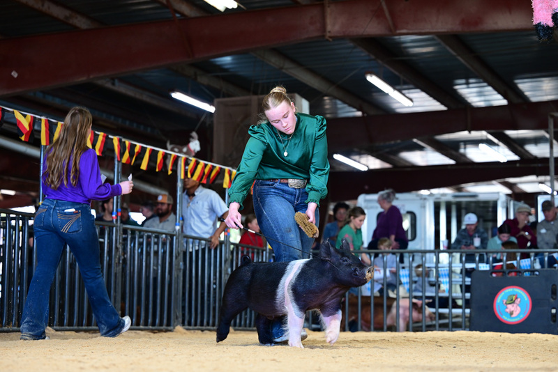 25GTT- RingAHamps-4892.jpg