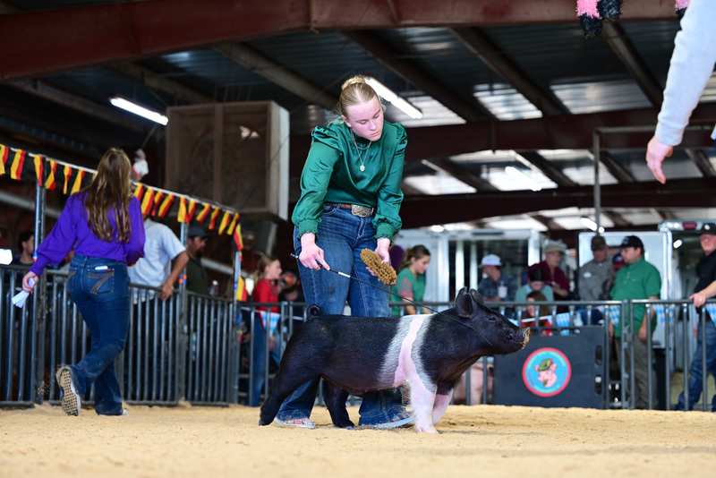 25GTT- RingAHamps-4893.jpg