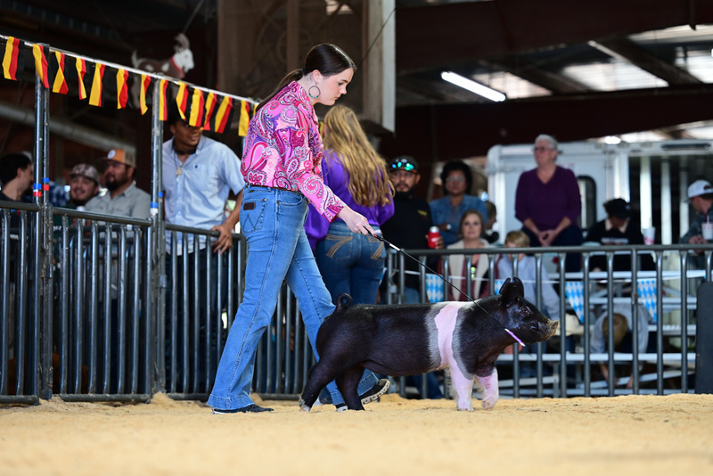 25GTT- RingAHamps-4898.jpg