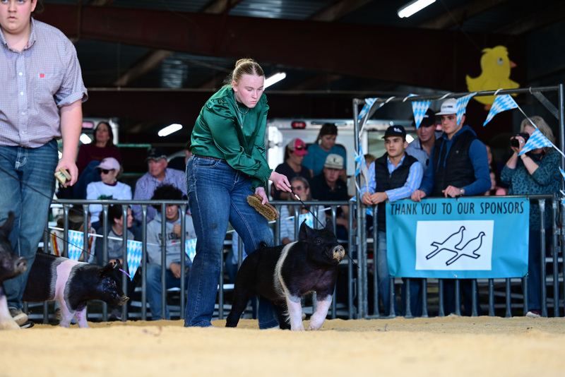 25GTT- RingAHamps-4900.jpg