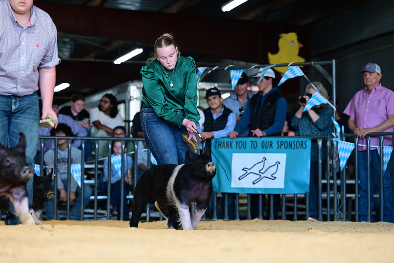 25GTT- RingAHamps-4901.jpg