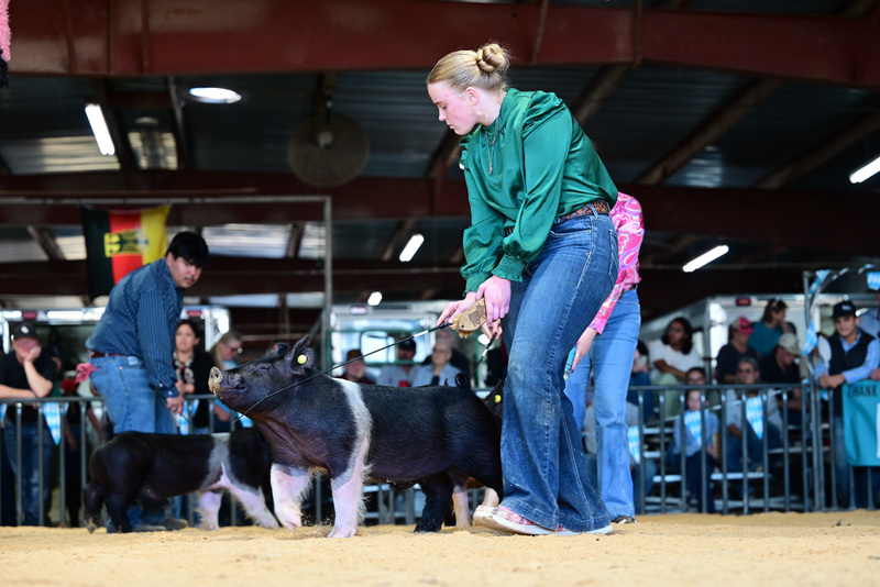 25GTT- RingAHamps-4903.jpg