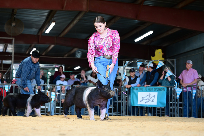 25GTT- RingAHamps-4904.jpg