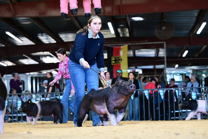 25GTT- RingAHamps-4906.jpg