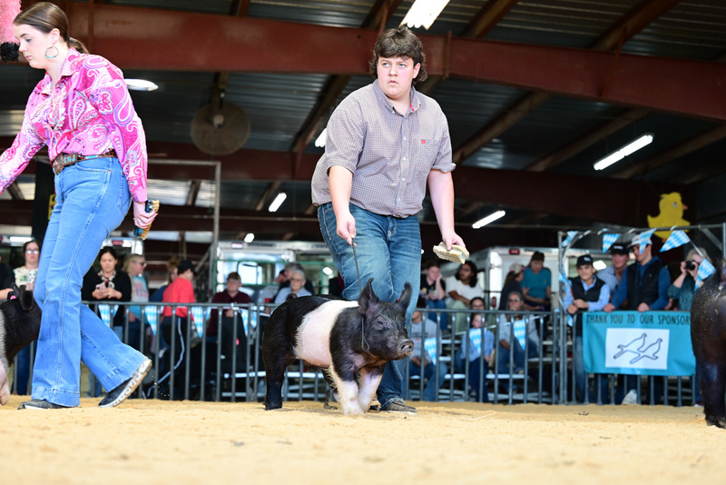 25GTT- RingAHamps-4908.jpg