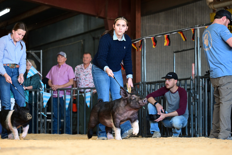 25GTT- RingAHamps-4918.jpg