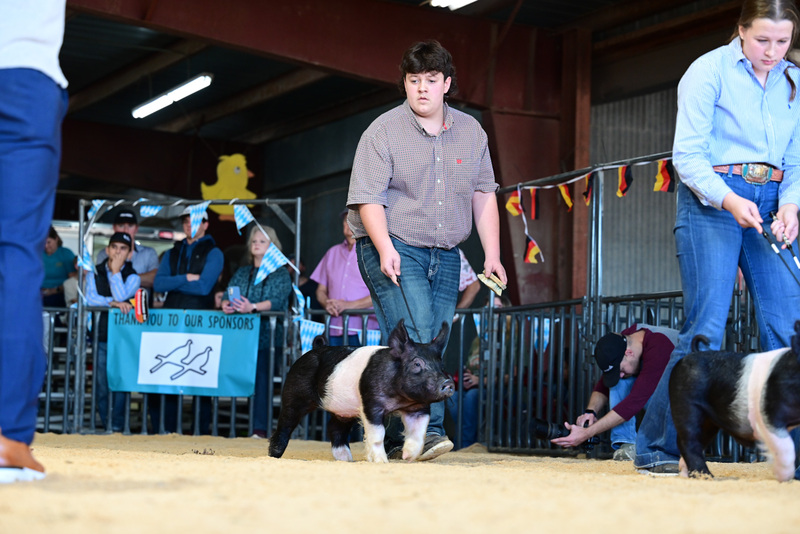 25GTT- RingAHamps-4920.jpg