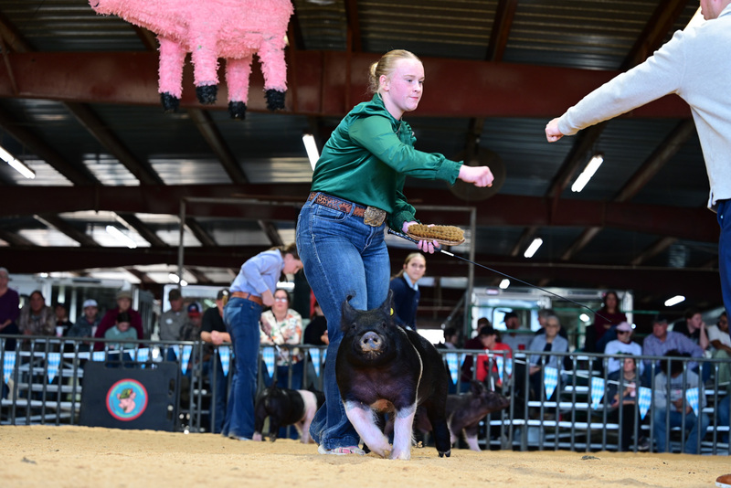 25GTT- RingAHamps-4924.jpg