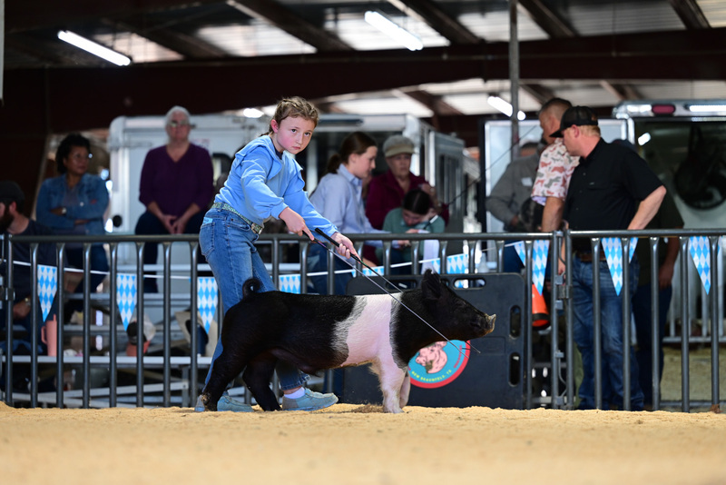 25GTT- RingAHamps-4925.jpg