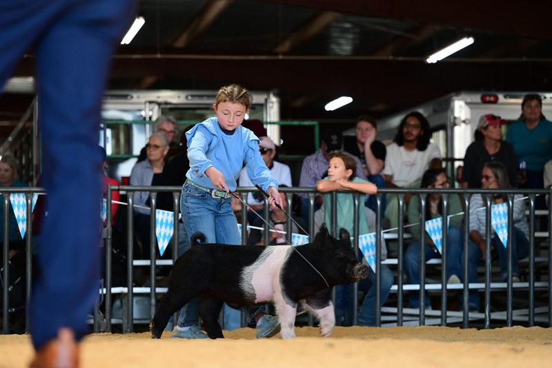 25GTT- RingAHamps-4926.jpg