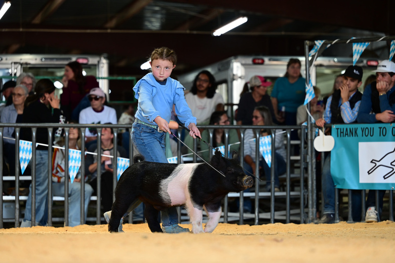 25GTT- RingAHamps-4927.jpg