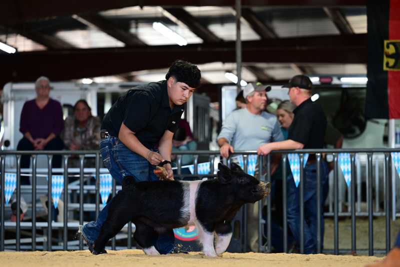 25GTT- RingAHamps-4930.jpg