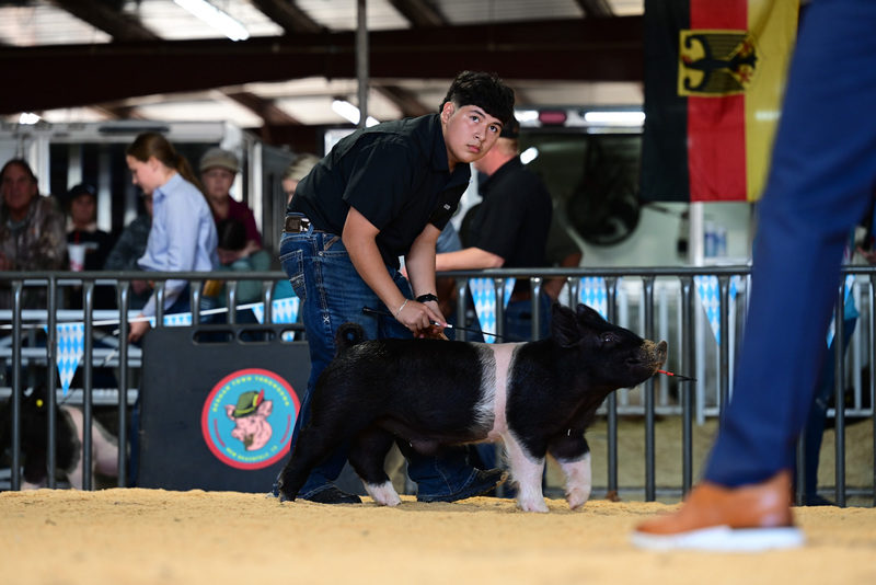 25GTT- RingAHamps-4931.jpg