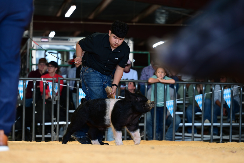 25GTT- RingAHamps-4932.jpg