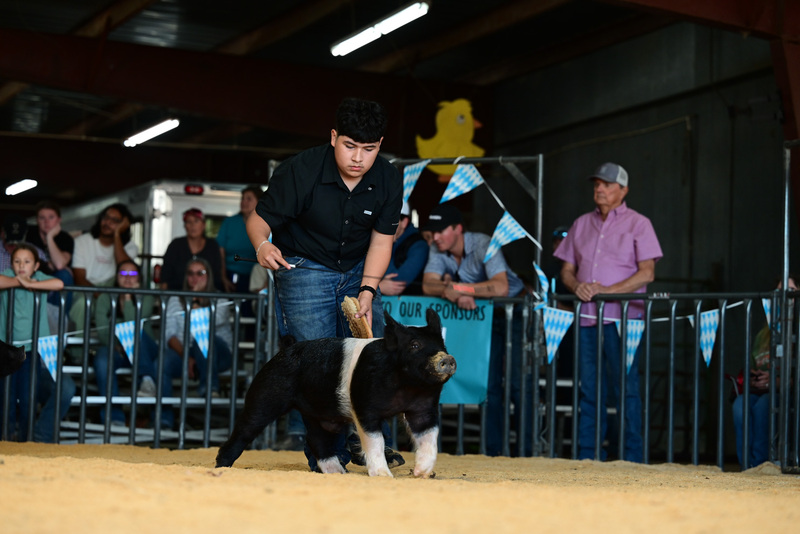 25GTT- RingAHamps-4933.jpg