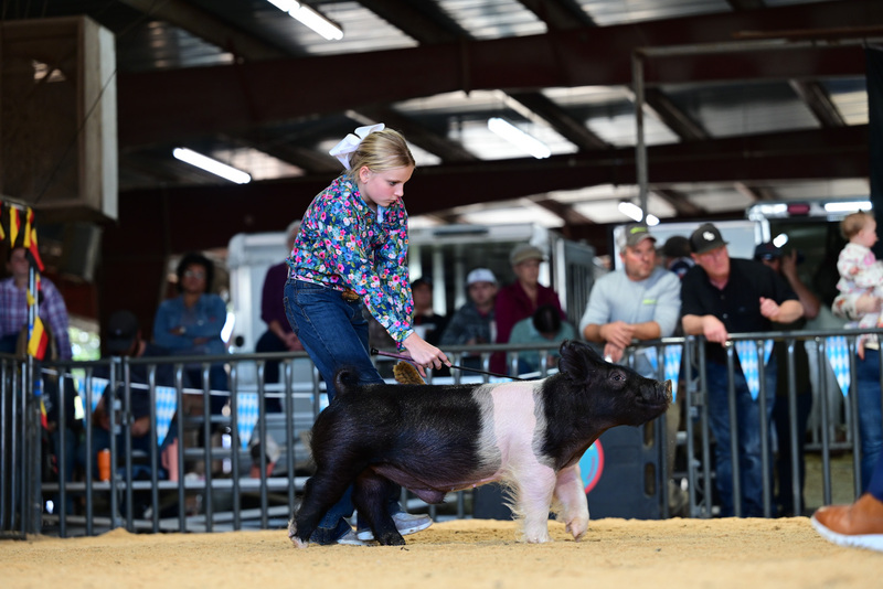 25GTT- RingAHamps-4934.jpg