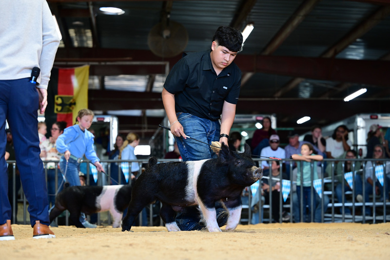 25GTT- RingAHamps-4936.jpg