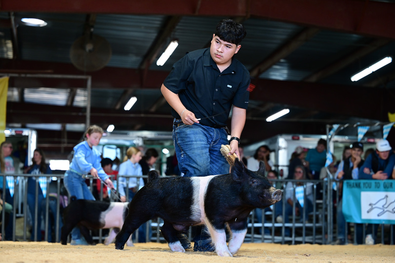 25GTT- RingAHamps-4937.jpg