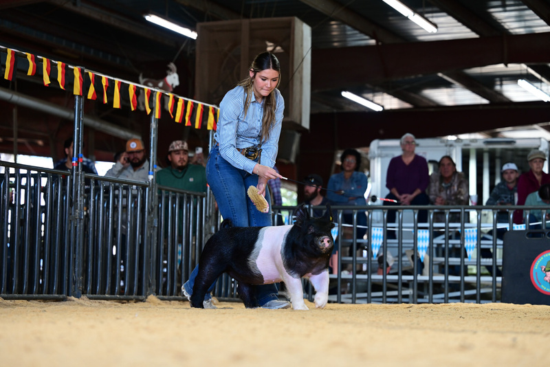 25GTT- RingAHamps-4939.jpg