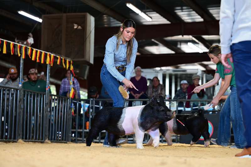 25GTT- RingAHamps-4940.jpg