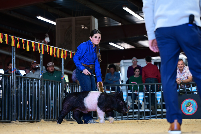 25GTT- RingAHamps-4942.jpg