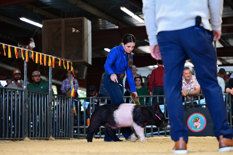 25GTT- RingAHamps-4943.jpg