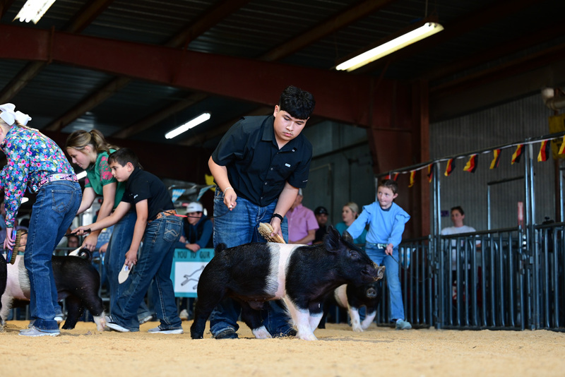 25GTT- RingAHamps-4944.jpg