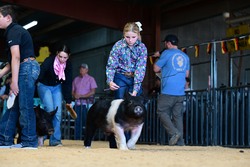 25GTT- RingAHamps-4947.jpg