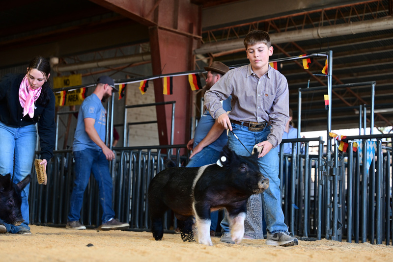 25GTT- RingAHamps-4948.jpg