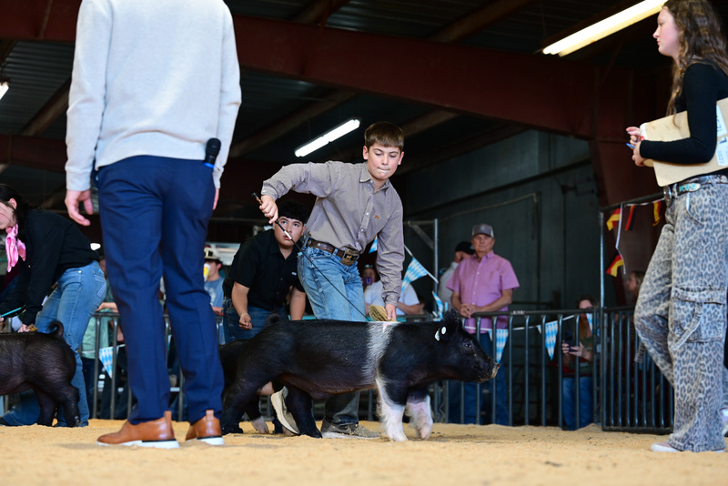 25GTT- RingAHamps-4951.jpg