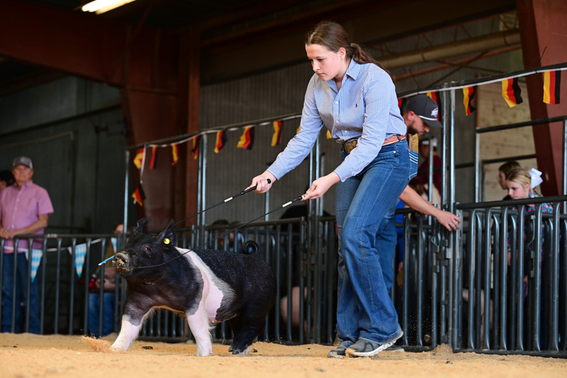 25GTT- RingAHamps-4957.jpg