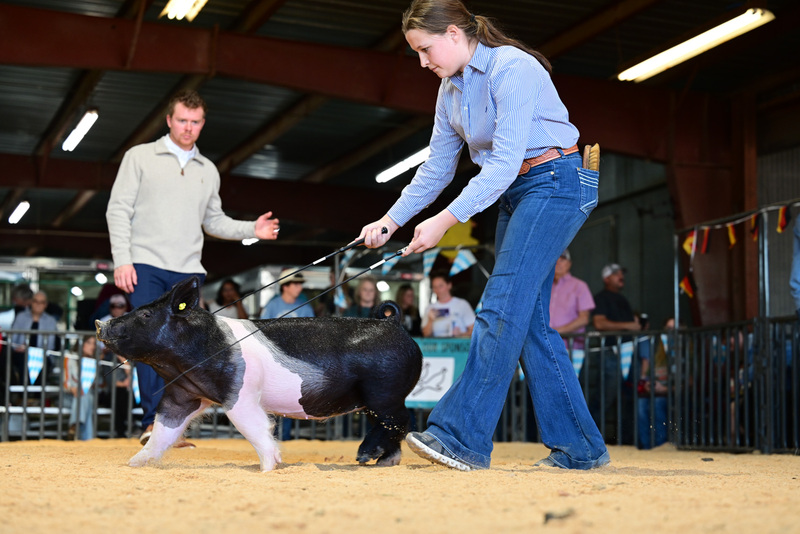 25GTT- RingAHamps-4958.jpg