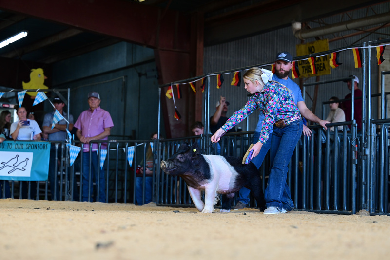 25GTT- RingAHamps-4960.jpg