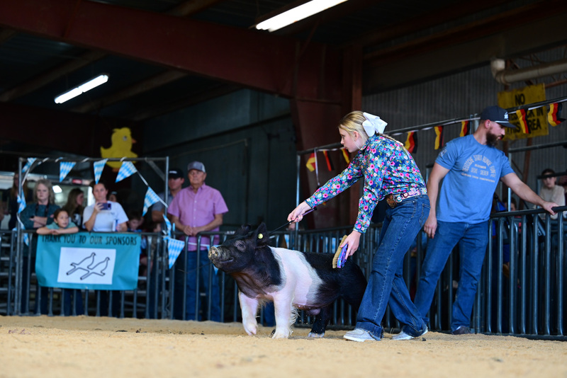 25GTT- RingAHamps-4961.jpg