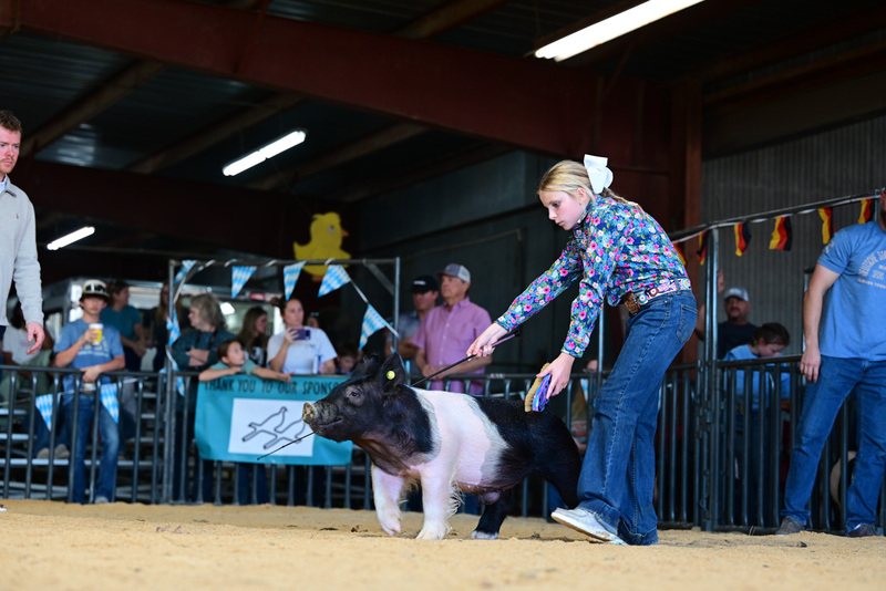 25GTT- RingAHamps-4962.jpg