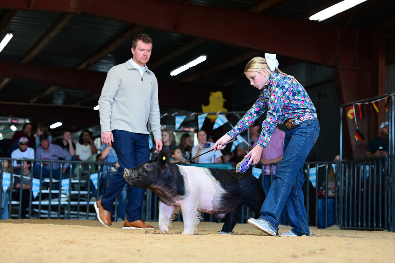 25GTT- RingAHamps-4963.jpg