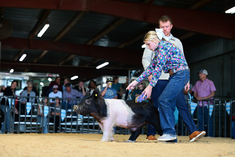 25GTT- RingAHamps-4964.jpg